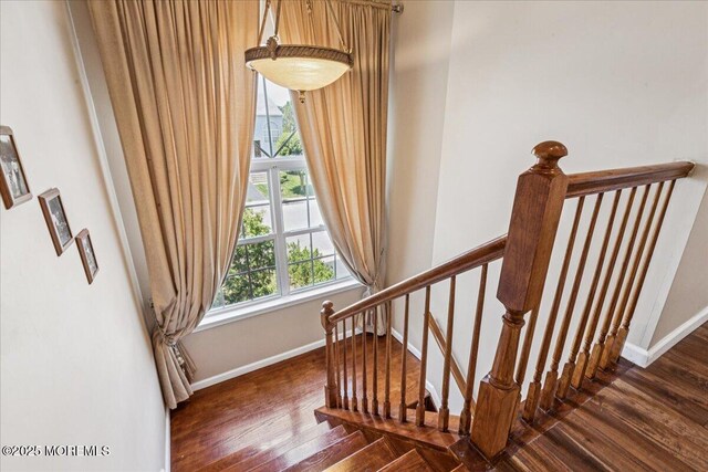 49 Barn Swallow Blvd, Marlboro, NJ 07746 - photo 13