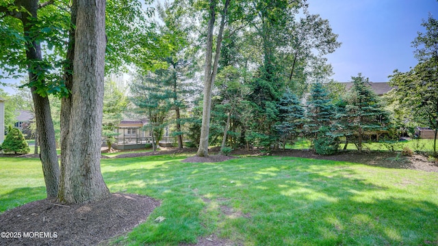 88 Vanderveer Dr, Basking Ridge, NJ 07920 - view of grassy yard