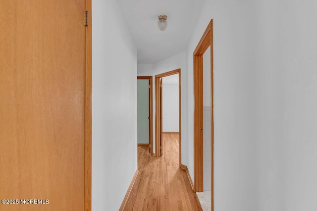 1316 Sunset Ave, Point Pleasant, NJ 08742 - hallway with light wood finished floors and baseboards