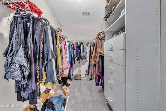 8 Armistead Ky, Colts Neck, NJ 07722 - walk in closet featuring carpet flooring