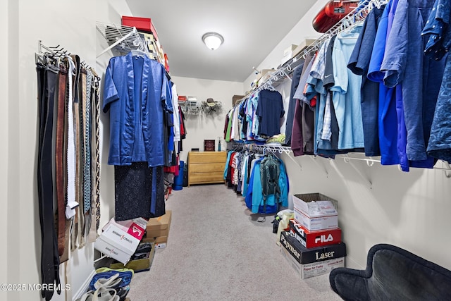 11 Starboard Ct, Little Egg Harbor, NJ 08087 - spacious closet with carpet floors