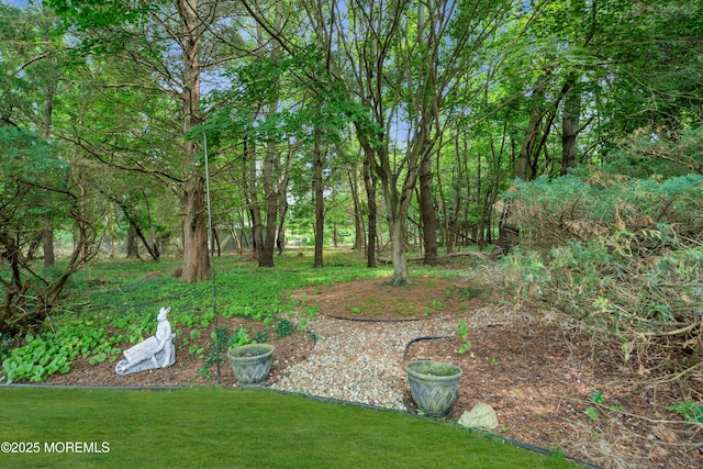 1449 Burr Oak Rd, Toms River, NJ 08755 - photo 40