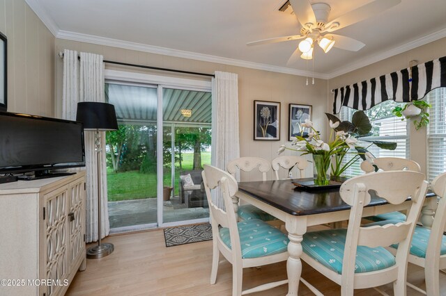 275 Barbados Dr N, Toms River, NJ 08757 - photo 18