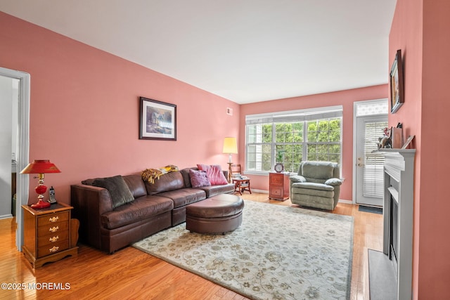 160 Kyle Ct Unit 160, Monroe, NJ 08831 - living room featuring light wood finished floors and a fireplace