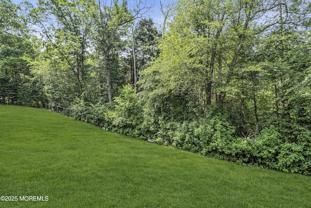 106 Aspen Ct, Lakewood, NJ 08701 - view of green lawn