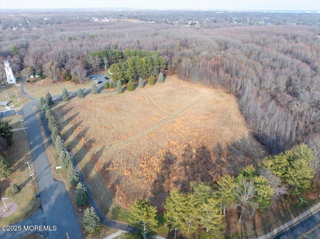 179 Woolley Ct, Oakhurst, NJ 07755