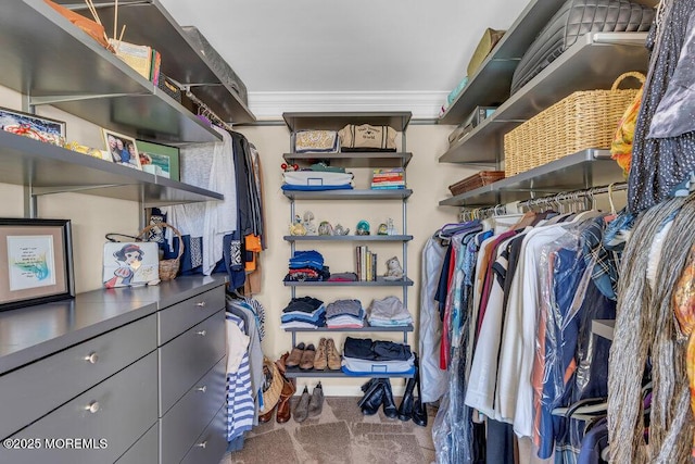 19 Carleton Dr, Freehold, NJ 07728 - walk in closet featuring carpet floors
