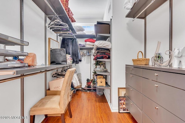 19 Carleton Dr, Freehold, NJ 07728 - spacious closet featuring light wood-style flooring