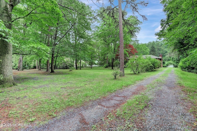 192 Crescent Ave, Jackson, NJ 08527 - view of dirt / gravel driveway