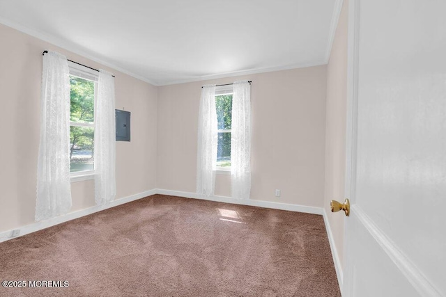 434 Georgia Tavern Rd, Howell, NJ 07731 - carpeted spare room featuring plenty of natural light, ornamental molding, and electric panel