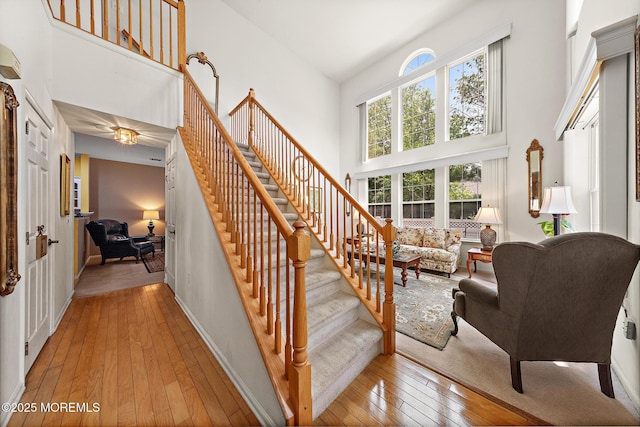 2420 Robin Way, Manasquan, NJ 08736 - photo 10