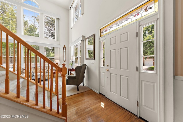 2420 Robin Way, Manasquan, NJ 08736 - photo 8