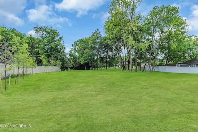 86 Wall St, West Long Branch, NJ 07764 - photo 41