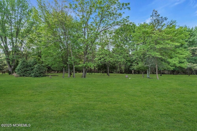 9 Westbrook Dr, Toms River, NJ 08757 - view of grassy yard