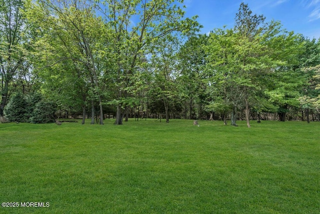 9 Westbrook Dr, Toms River, NJ 08757 - view of green lawn
