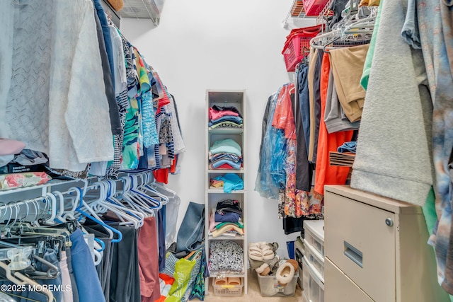 11 High Hill Ct, Manchester, NJ 08759 - view of spacious closet