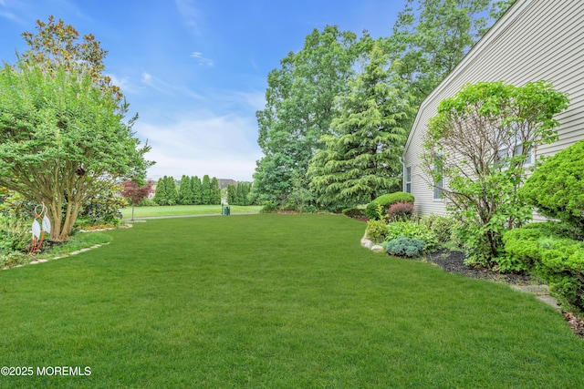 11 High Hill Ct, Manchester, NJ 08759 - view of green lawn
