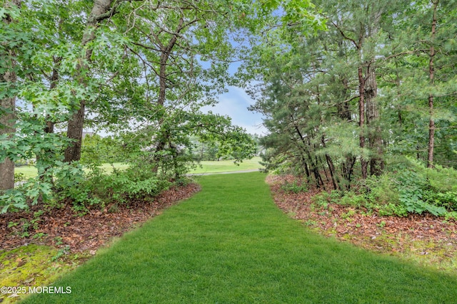 11 High Hill Ct, Manchester, NJ 08759 - view of grassy yard