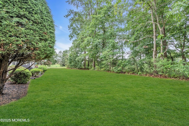 11 High Hill Ct, Manchester, NJ 08759 - view of grassy yard