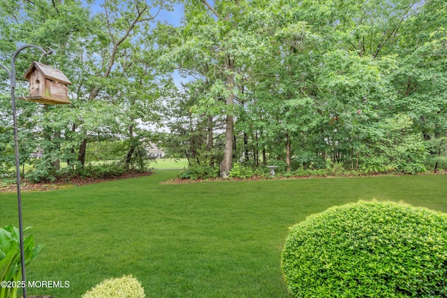 11 High Hill Ct, Manchester, NJ 08759 - view of green lawn