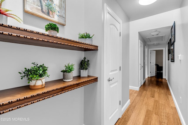 1159 County Line Rd E, Lakewood, NJ 08701 - hallway with attic access and light wood finished floors