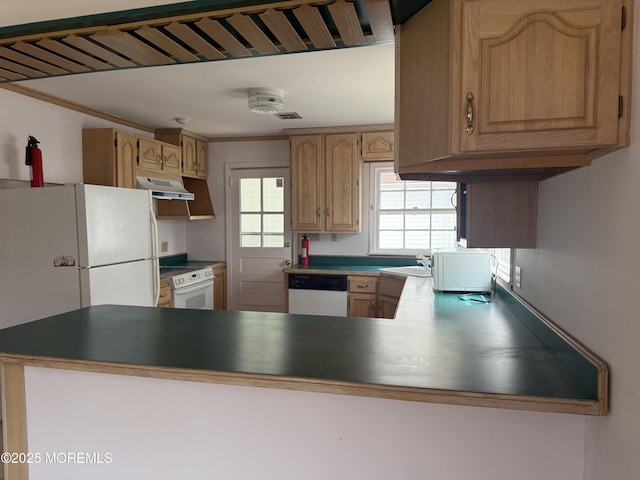 630 Overton Pl, Long Branch, NJ 07740 - kitchen featuring white appliances, under cabinet range hood, a peninsula, and crown molding