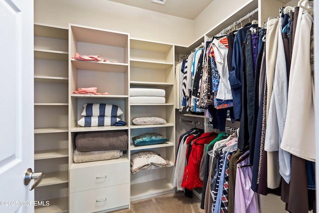 19 E Francesa Ct, Farmingdale, NJ 07727 - view of walk in closet