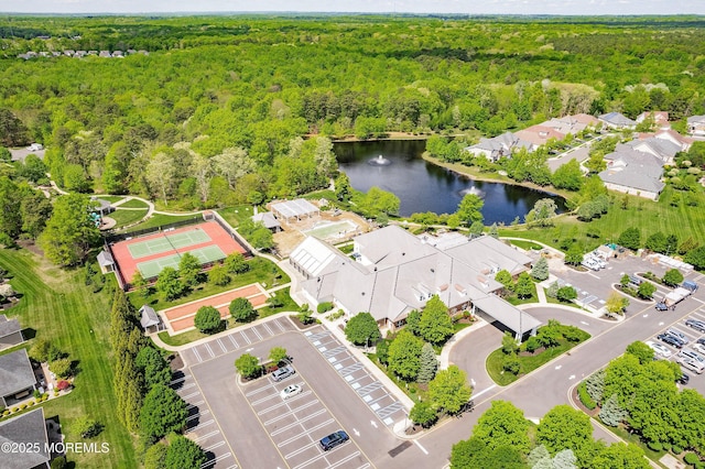 19 E Francesa Ct, Farmingdale, NJ 07727 - aerial view of a heavily wooded area and a large body of water