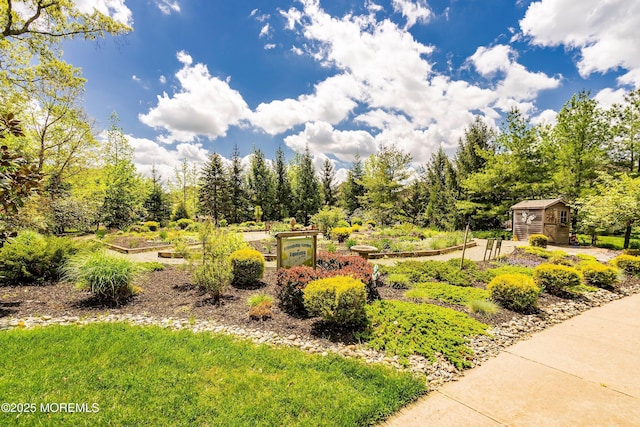 19 E Francesa Ct, Farmingdale, NJ 07727 - view of yard with a vegetable garden and a shed