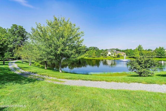 19 E Francesa Ct, Farmingdale, NJ 07727 - water view