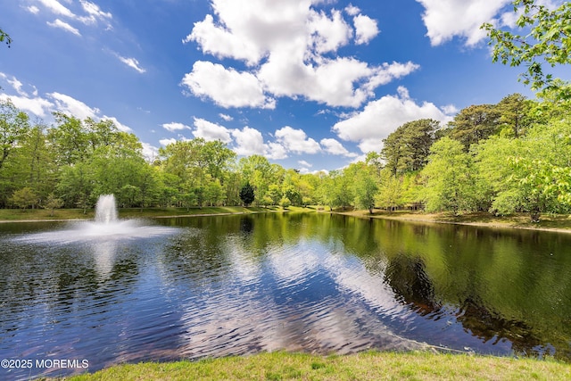 19 E Francesa Ct, Farmingdale, NJ 07727 - water view with a heavily wooded area