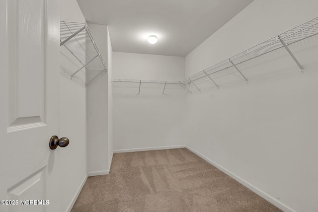 44 Begonia Ln, Monroe, NJ 08831 - walk in closet featuring light carpet