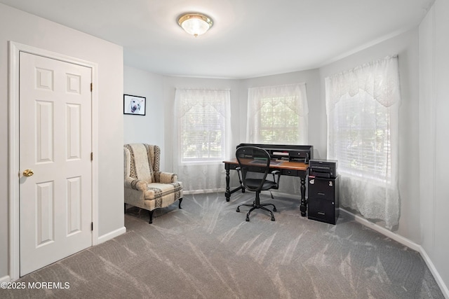 301 Cranberry Rd, Farmingdale, NJ 07727 - carpeted office featuring baseboards