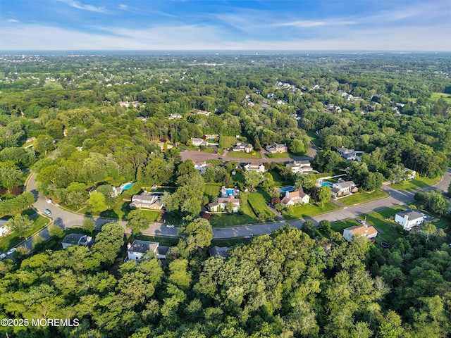 3058 Governors Xing, Wall, NJ 07719 - aerial view of property's location featuring a heavily wooded area