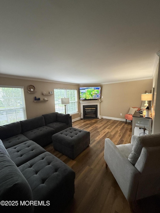 455 Deuce Dr, Wall, NJ 07719 - living room featuring ornamental molding, wood finished floors, and a fireplace