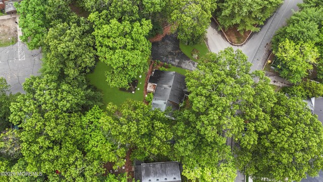 30 Monterey Cir, Lakewood, NJ 08701 - photo 19