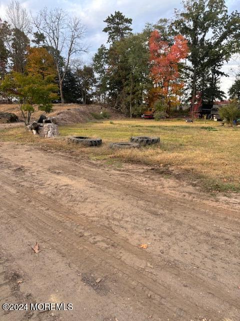 825 Rte 539, Plumsted, NJ 08533 - view of yard