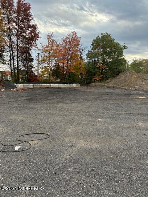 825 Rte 539, Plumsted, NJ 08533 - view of yard