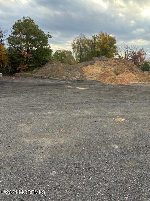 825 Rte 539, Plumsted, NJ 08533 - view of yard