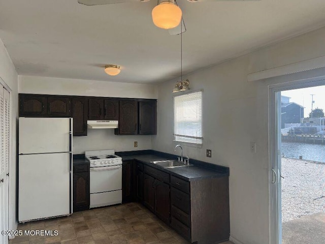 1209 Plover Ct, Forked River, NJ 08731 - kitchen with white appliances, dark countertops, under cabinet range hood, dark brown cabinetry, and hanging light fixtures