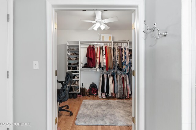 22 Cooper Ave Unit 113, Long Branch, NJ 07740 - walk in closet featuring a ceiling fan and wood finished floors