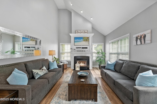 36 Sally St, Howell, NJ 07731 - living room with high vaulted ceiling, healthy amount of natural light, wood finished floors, a fireplace with flush hearth, and recessed lighting