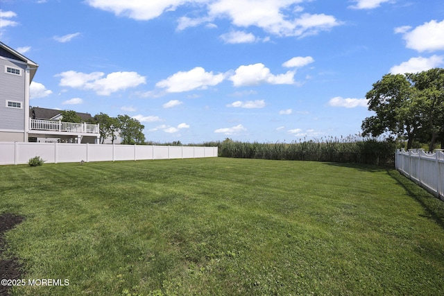 623 Park Ave, Port Monmouth, NJ 07758 - view of yard