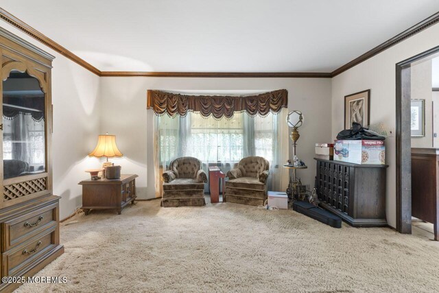 15 Adams St, Morganville, NJ 07751 - photo 9