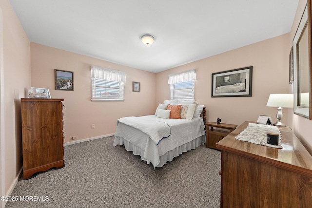 118 S Binnacle Dr, Little Egg Harbor, NJ 08087 - bedroom featuring carpet flooring and multiple windows