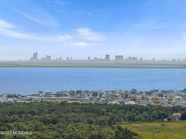 118 S Binnacle Dr, Little Egg Harbor, NJ 08087 - water view featuring skyline