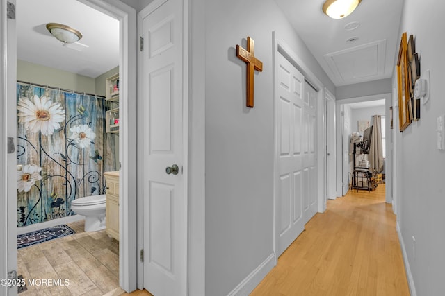 1506 Beverly Rd, Forked River, NJ 08731 - hall featuring light wood finished floors and attic access