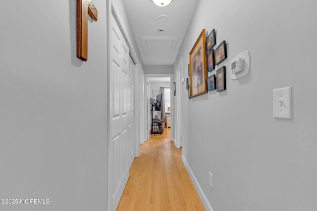 1506 Beverly Rd, Forked River, NJ 08731 - corridor with light wood-style floors and attic access