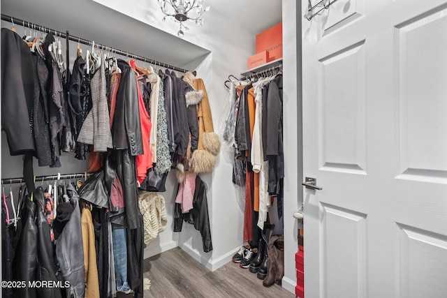 96 Kentucky Way, Freehold, NJ 07728 - walk in closet featuring wood finished floors