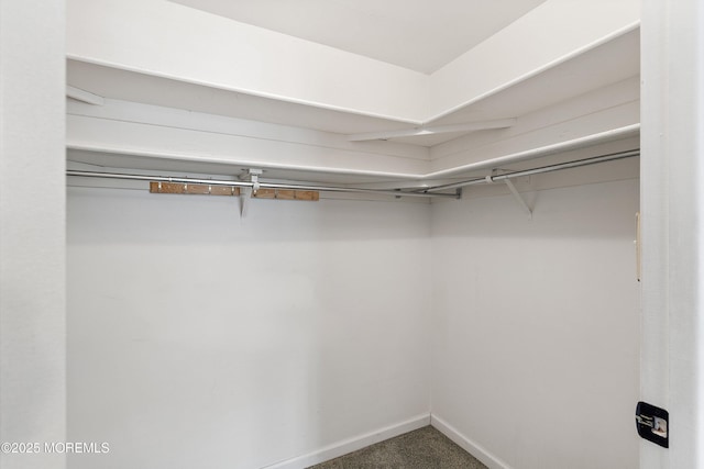 603-B Bosworth Ct, Manchester, NJ 08759 - walk in closet with carpet